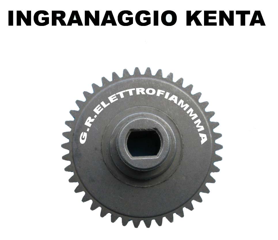 Ingranaggio in nylon per motoriduttore stufa a pellet Kenta K9175054 5 RPM Ingranaggio in nylon per motoriduttore stufa a pellet Kenta K9175054 5 RPM